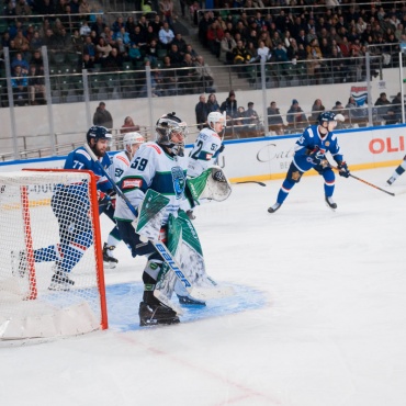 Сокол - Югра