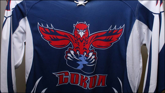 Сокол.jpg