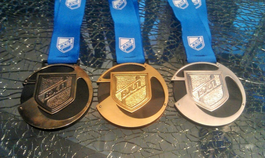Медали по хоккею с шайбой. Медали хоккейные. Медаль хоккей. Серебряная медаль по хоккею. Награды по хоккею.