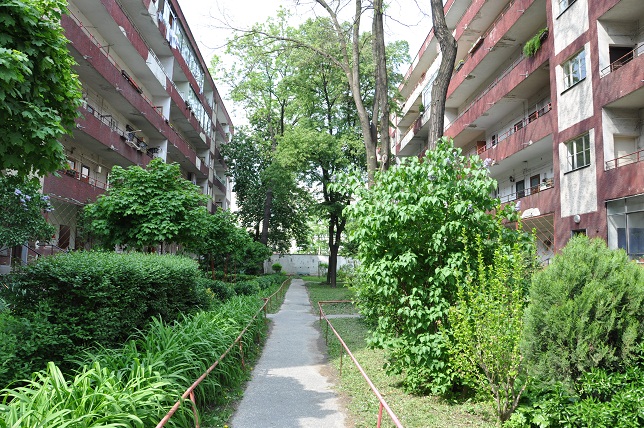 DSC_0294.JPG