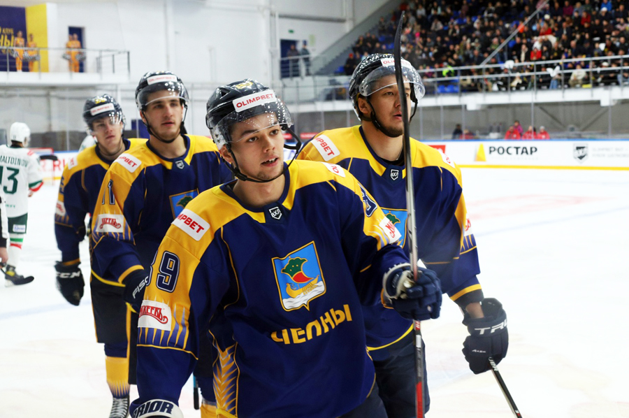 Хк тимерхан лого. Барс челны. Шайба для хоккея. Барс челны. Барс челны.